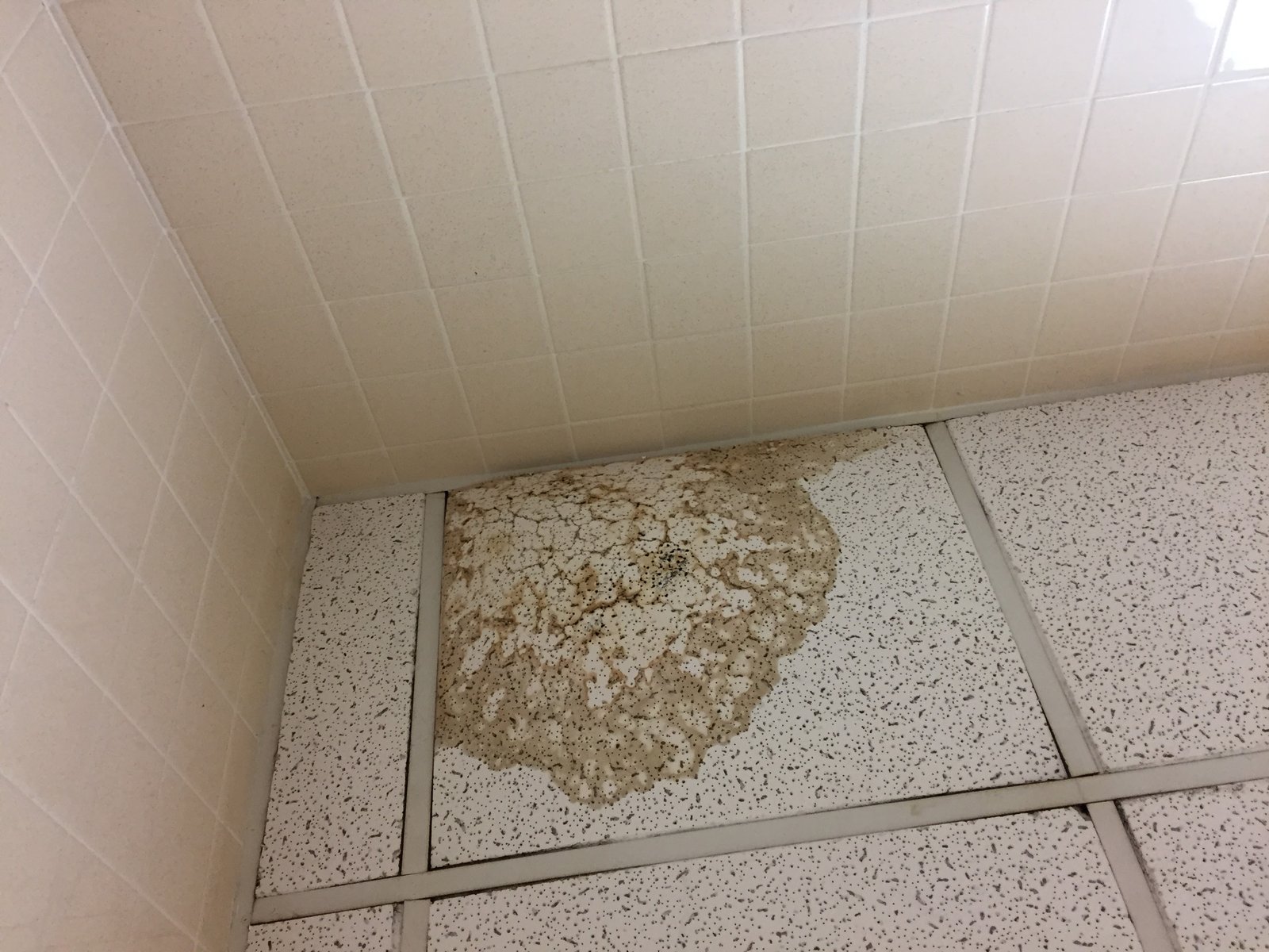 Precision architectural ceiling geometry and clean fixture alignment