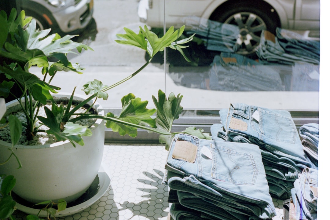 pepe jeans store interior designer