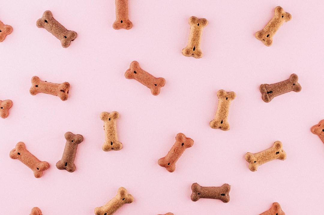 pet food store interior designers